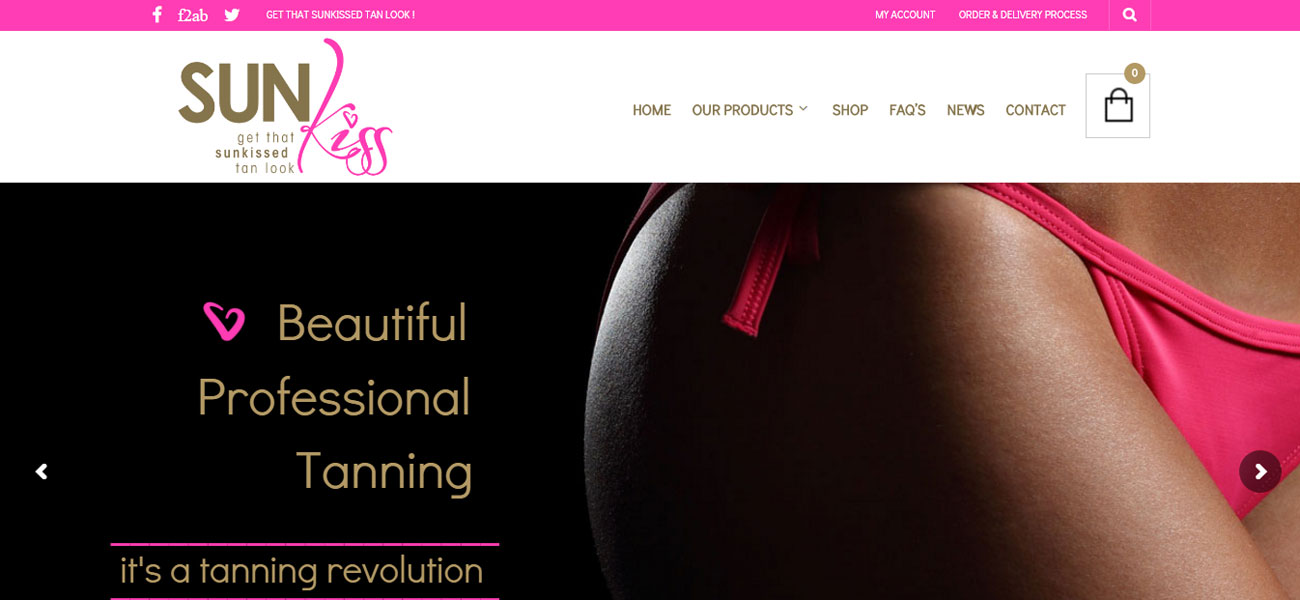 Launch of SUNKiss Website