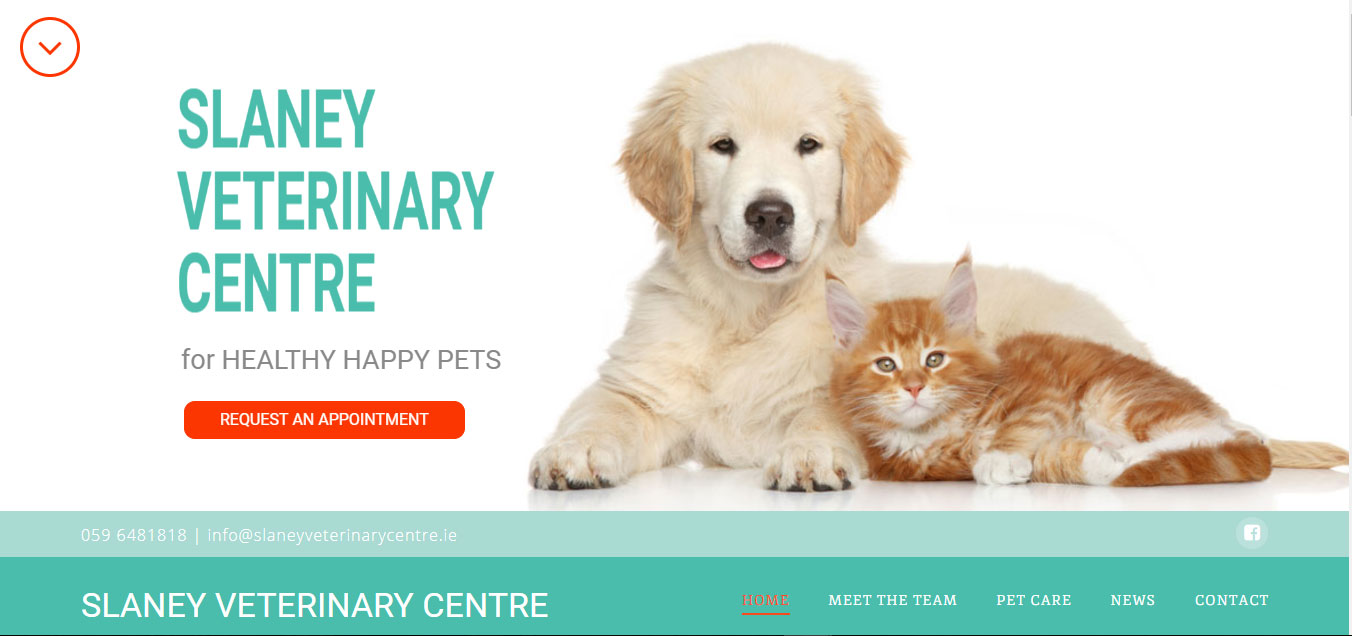 Slaney Veterinary Centre